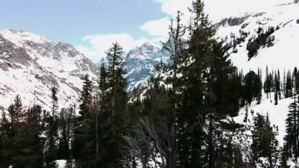 Drone Revealing Mountains Trees — Vídeo de stock