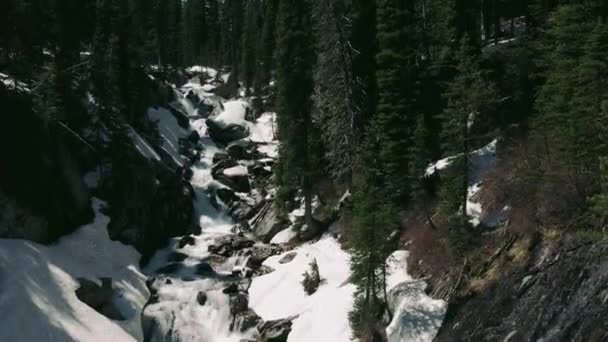 Drone Revealing Mountains Trees — Vídeos de Stock