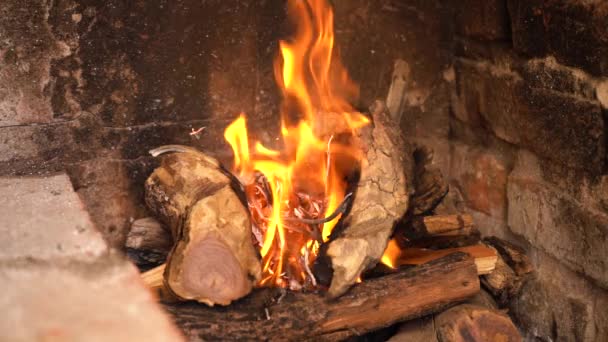 Small Burning Logs Making Embers Cooking Grill — Vídeo de Stock