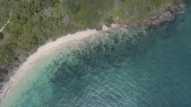 Clear Blue Sea Pristine White Sand Beach Langford Island Whitsundays — стоковое видео