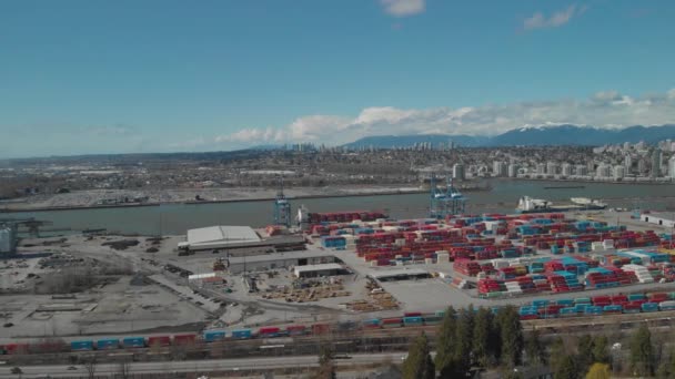 Colorful Shipping Containers Stacked High Organized Busy City Port Harbor — Stock Video