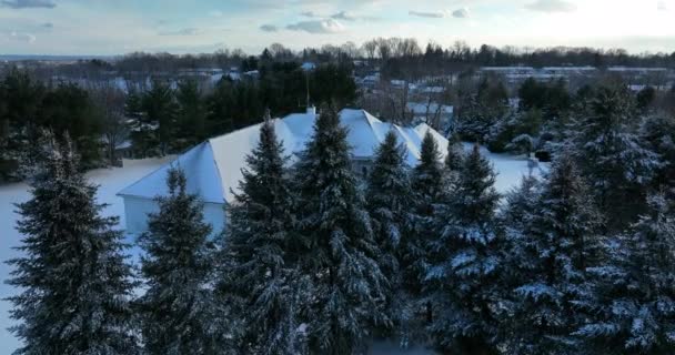 Rising Aerial Reveal Large American Family Mansion Pine Trees Evergreen — Vídeo de Stock