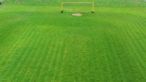 Porte Blanche Sur Terrain Football Fond Vert Stade Terrain Football — Video