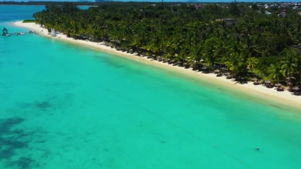 Strand Vízpart Mentén Korallzátony Pálmafák Mauritius Afrika Móló Közelében Strand — Stock videók