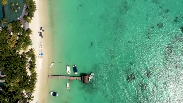 Playa Tropical Lujo Mauricio Playa Con Palmeras Océano Azul Vista — Vídeo de stock