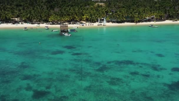 Tropisk Strand Mauritius Sandstrand Med Handflator Och Blått Transparent Hav — Stockvideo