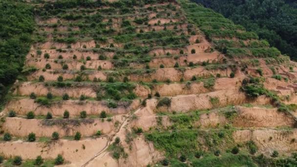 Deforestation Slope Hill Cleared Agriculture Southeast Asia — Video