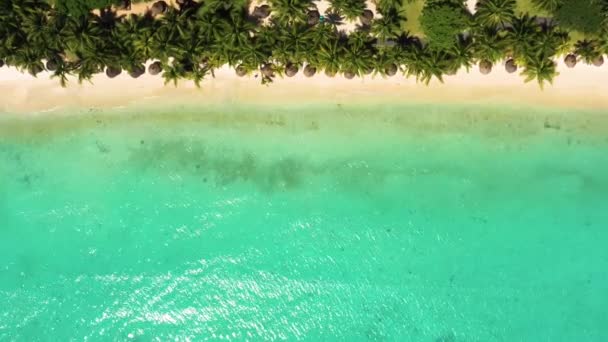モーリシャスの高級熱帯ビーチ ヤシと青い海とビーチ 空中展望 素晴らしいトロー ビシーズ モーリシャス — ストック動画