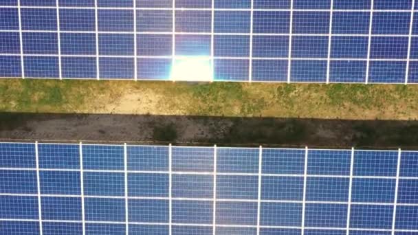 Vista Superior Uma Nova Fazenda Solar Linhas Painéis Solares Fotovoltaicos — Vídeo de Stock