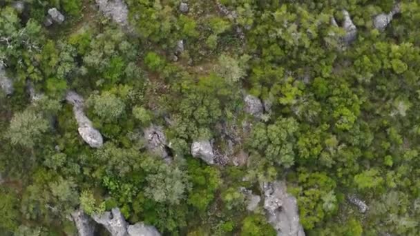 Woods Mediterranean Large Boulders Trees Top Shot Drone — ストック動画