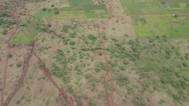 Paysage Vierge Savane Africaine Dans Sud Kenya Inclinaison Aérienne Vers — Video