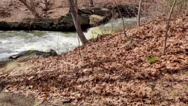 Brown Leaves Cover Ground Leading Royal River Falls Yarmouth Maine — Video Stock