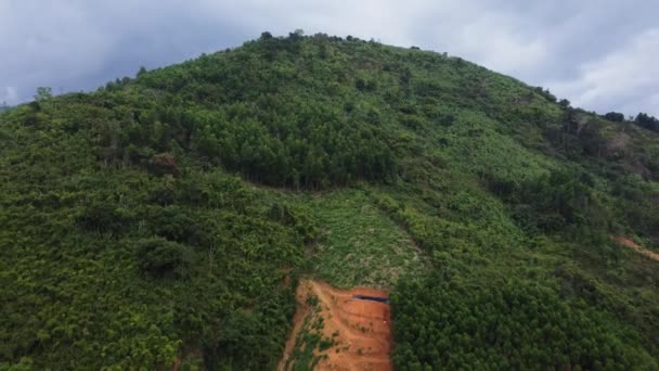 Luchtfoto Helling Van Een Heuvel Vrijgemaakt Voor Landbouwbedrijf Veld Zuidoost — Stockvideo
