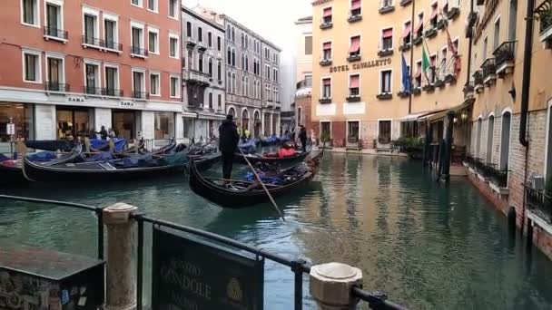 Gondolas Maneuvering Parking Canal Next San Marco Square Venice — Stockvideo