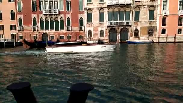 ヴェネツィアの大運河沿いのホテルに到着するタクシー — ストック動画