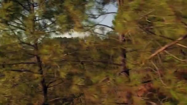 Aerial Mountain Range Reveal Right Left — Stock Video
