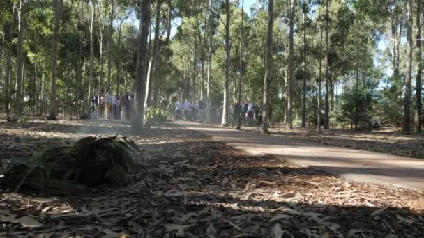 Mariage Australien Cérémonie Tabagisme Autochtone Comme Parc Célébration — Video
