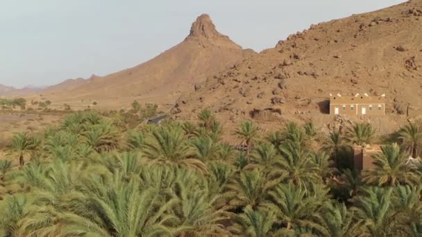 Drone Vliegen Palmbomen Met Rotsachtige Bergen Achtergrond Zagora Marokko Panoramisch — Stockvideo