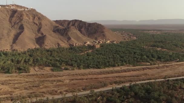 Desert Oasis Palm Trees Mountain Zagora Draa Valley Morocco Aerial — Stock Video