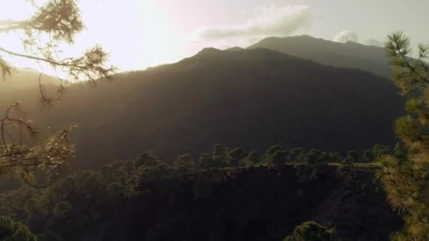 Avanzando Entre Los Árboles Girando Derecha Para Revelar Cordillera — Vídeos de Stock