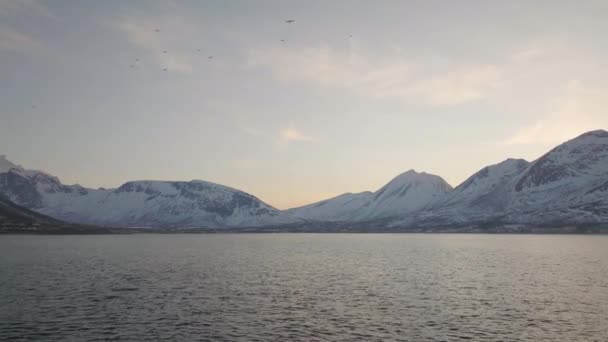 Luchtfoto Boven Open Pooloceaan Uitzicht Besneeuwde Bergen Het Vasteland — Stockvideo