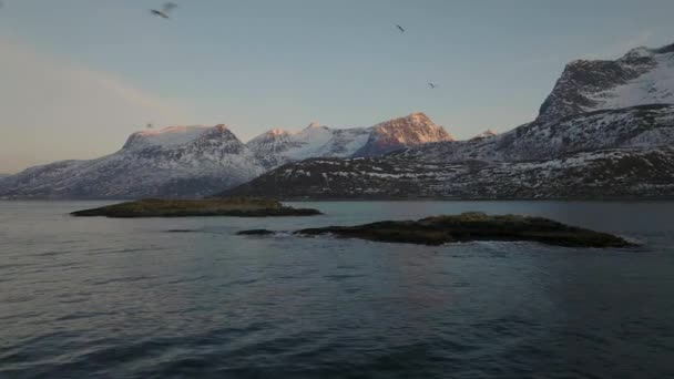 Belleza Robusta Las Montañas Árticas Nevadas Cazadores Ostras Vuelo — Vídeos de Stock