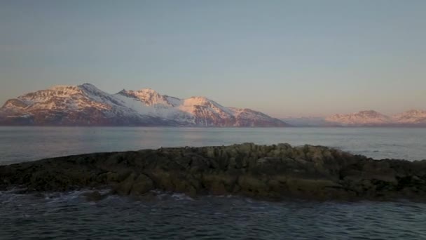 Bandada Gaviotas Volando Vasto Fiordo Noruega Panorama Atardecer Aéreo — Vídeos de Stock