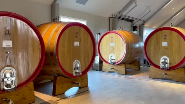 Panning View Cellar Wine Barrels Aging Process Natural Light — Video Stock