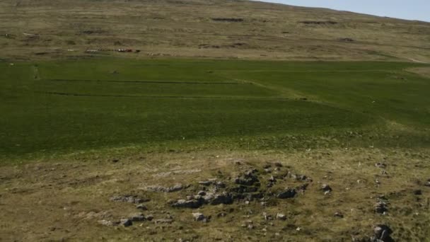 Aérial Belles Collines Verdoyantes Hvitserkur Vatnsnes Islande Vue Ensemble Vers — Video