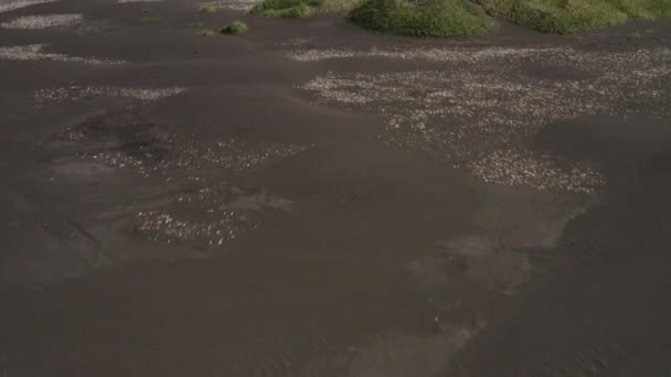 Aerial Rugged Coastline Hvitserkur Vatnsnes Iceland Wide Shot Forward — Wideo stockowe