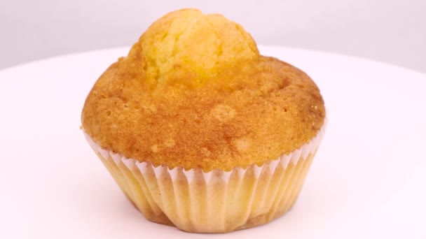 Pandangan Dekat Muffin Sederhana Sehat Dan Tradisional Baru Dipanggang Berputar — Stok Video