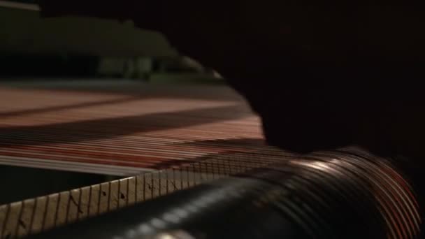 Worker Drops Hides Conveyor Belt Leather Manufacturing — Vídeo de stock