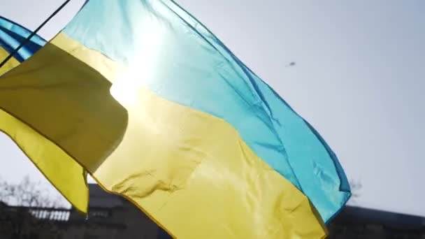London Ukrajnával Áll Londoni Trafalgar Téren Lobogtat Ukrán Zászló Oroszországgal — Stock videók