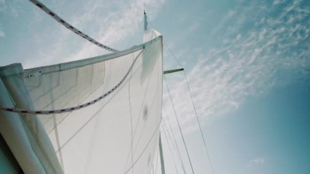 Main Sail Yacht Backlit Sky 50Fps — Vídeo de stock