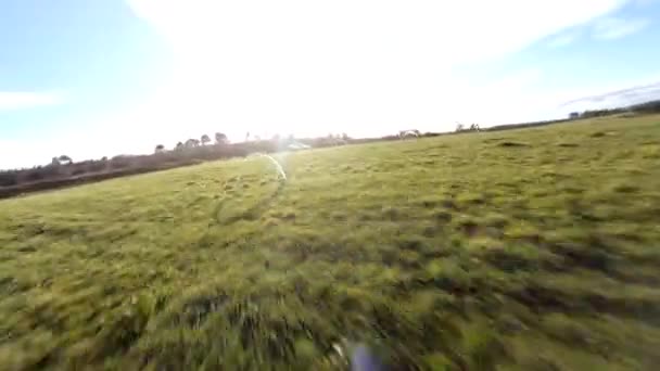 First Person View Drone Hovering Grassy Field Outdoor Arches Fpv — Stock Video