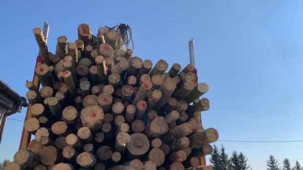 Close Wood Logs Getting Unloaded Trailer Unloading Wooden Timbers Truck — Vídeo de Stock