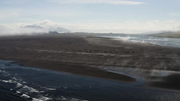 AERIAL - Approaching coastline in Hvitserkur,Vatnsnes, Iceland, wide shot forward