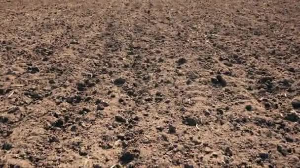 Vers Geoogst Landbouwveld Klaar Voor Zaaiseizoen Drone Beelden — Stockvideo