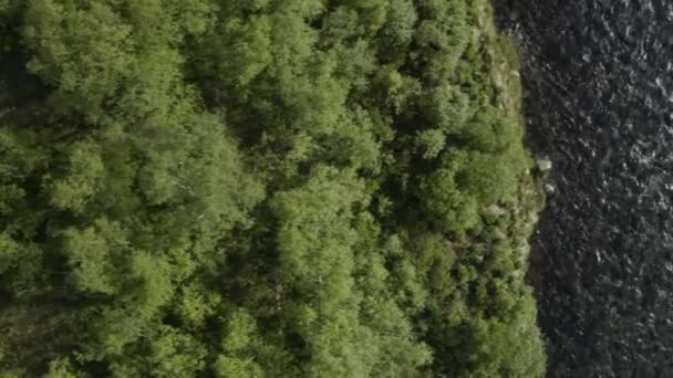 Aerial Birch Trees Fnjoska River Vaglaskogur Forest Iceland Top Truck — Vídeos de Stock