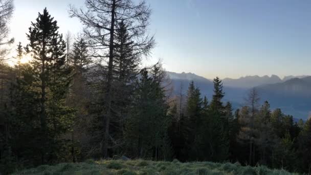 Forêt Montagneuse Sur Versant Montagne Coucher Soleil Derrière Les Arbres — Video