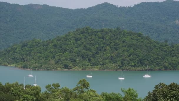 Ocean Yachts Lush Hills Rainforest Koh Chang Island — Vídeos de Stock