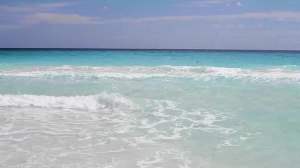 Troupeau Mouettes Volant Dessus Eau Plage Cancun Mexique — Video