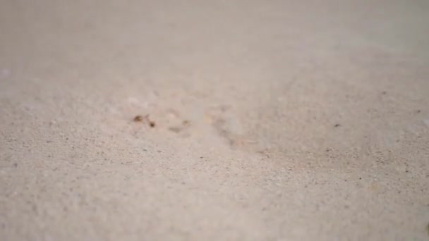 Close Footprint Washed Away Wave Cancun Mexico — Vídeos de Stock