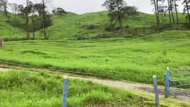 去山里的路 — 图库视频影像