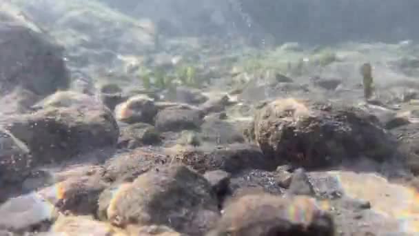 Dykning Den Lugna Kusten Costa Ria Provinsen Guanacaste Närheten — Stockvideo