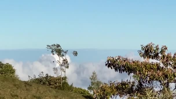 Highlights Nearby Turrialba Volcano Cartago Costa Rica — стоковое видео