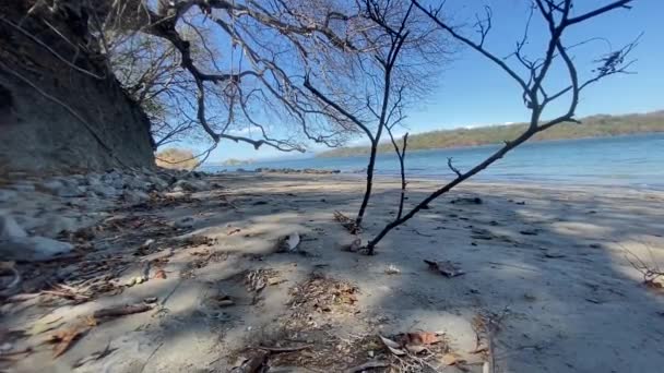 Relaxando Praia Pacífica Costa Rica — Vídeo de Stock