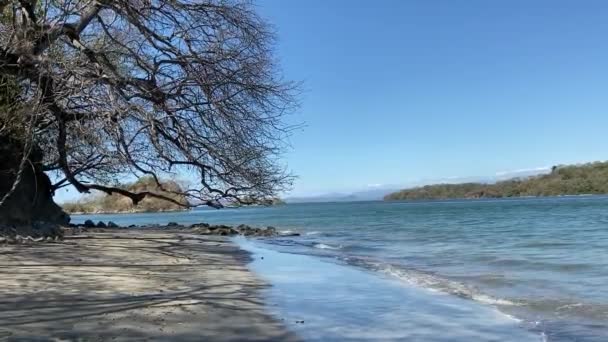 Día Kayak Con Amigos Costa Pacífica Costa Rica — Vídeo de stock