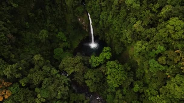 ドローンジンバルアップ明らかに隠された滝で高密度の緑のジャングル — ストック動画