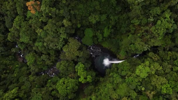 Zoom Fortuna Waterfall Costa Rica Green Dense Jungle — Stock video